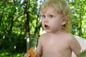 Curly blond toddler happily nibbling on a freshly baked cookie while sitting in aagainst a backdrop of garden trees on a summer day photo
