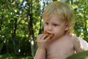 Carefree toddler with blond, curly locks reveling in the simple pleasure of eating a cookie, nestled amidst the vibrant greenery of garden trees on a radiant summer day photo
