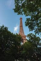 Eiffel Tower Through Greenery in Summer photo