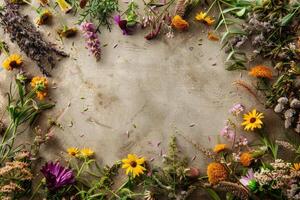 A rustic floral banner with an empty space for design elements. photo