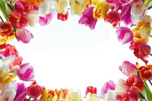 Tulip frame with design space. photo