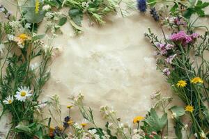A rustic floral banner with an empty space for design elements. photo