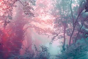 A pastel-toned forest with soft, misty light photo