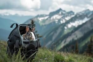 A rabbit in a custom pet carrier, surrounded by mountains during a hike photo