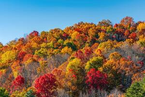 A rolling hillside covered in colorful autumn trees photo