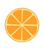 orange fruit half round vitamin fresh object colorful vector