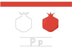 pomegranate fruit object trace handwriting practical child book lesson education design vector