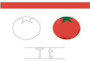 tomato vegetable object trace handwriting practice child book lesson exercise design vector
