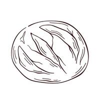 Bread logo in line art style. Design for bakery. illustration isolated on a white background. vector