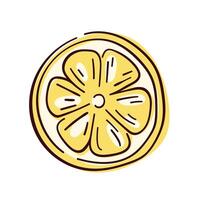 Lemon yellow round slice line art style icon. Flat outline citrus piece of circle shape. Summer design. illustration isolated on a white background. vector