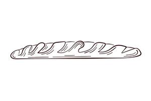 Fresh baked goods french baguette in line art style. Food for design of bakery menu and cafe. illustration isolated on a white background. vector