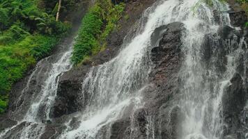 Cascading Waterfall in Lush Greenery video