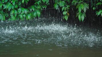 Rain Splashing on Water Surrounded by Greenery video