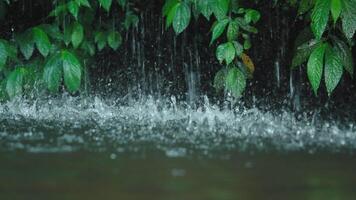 pingos de chuva espirrando em água superfície video