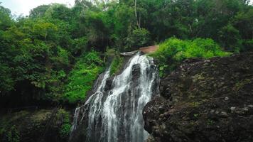 Serene Tropical Waterfall in Lush Forest video