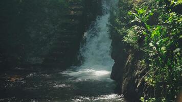 Serene Waterfall in Lush Greenery video