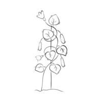 Sketch cucumber plant on trellis. Simple children's illustration in doodle style vector