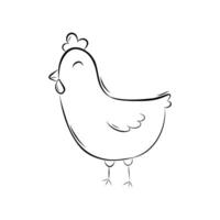 Sketch of a chicken. Simple illustration in doodle style. vector