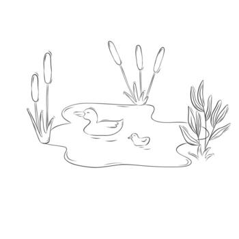 Sketch of a duck with a duckling swimming in a pond. Simple illustration in doodle style vector
