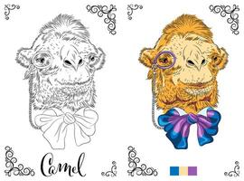 Coloring Book page Camel with Bow and Monocle vector