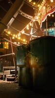 Illuminated Merry Go Round in Abandoned Amusement Park video