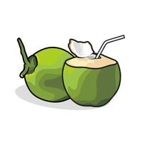 GREEN COCONUT VECTORS
