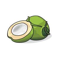 GREEN COCONUT VECTORS