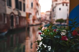 Tranquil Venice Canal with Serene Water, Charming Architecture, and Lush Greenery photo