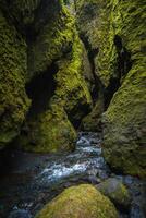 Narrow Moss-Covered Canyon with Flowing Stream in Iceland's Rugged Landscape photo