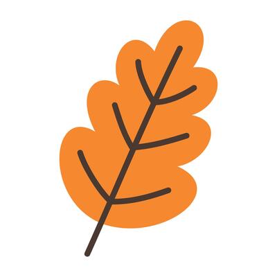 Hand drawn autumn leave illustration on a white background