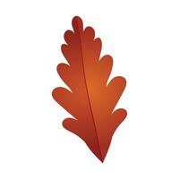Hand drawn autumn leave isolated on white background vector