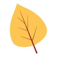 Hand drawn autumn leave illustration on the white background vector