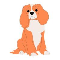 King Charles Spaniel isolated on white background. Purebred dog hand drawn flat design. vector