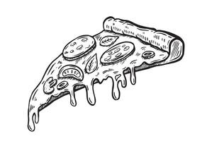 Slice of pizza, hand drawn illustrations, . vector