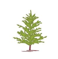 Colored simple illustration of a small coniferous Christmas tree. vector