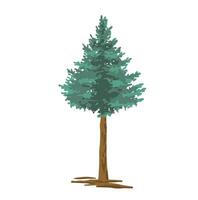 Colored simple illustration of a tree, spruce, pine or spruce. vector