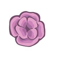 small purple spring flower, illustration vector