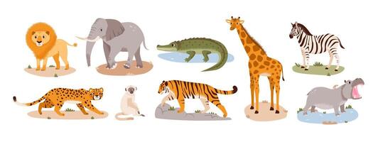 Safari animals set. Wild jungle animals. Savannah characters isolated on white background vector