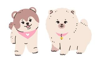 Playful spitz with its characteristic fluffy fur and alert expression. Dog isolated on a white background. vector