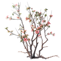 Branching spring centerpiece isolated on transparent background png