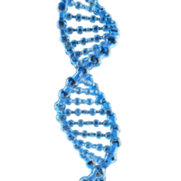 3d azul dna hélice seqüência elemento isolado png