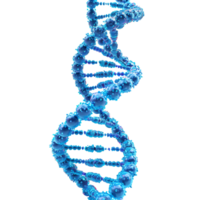 3d azul dna hélice seqüência elemento isolado png