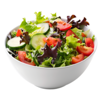 A garden salad served in a bowl isolated against a transparent background for crisp presentation png