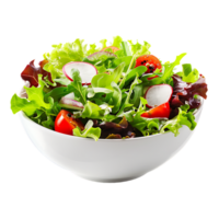 A garden salad served in a bowl isolated against a transparent background for crisp presentation png
