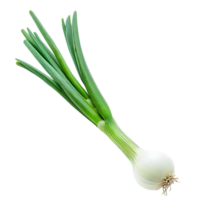 A green onion with a green stem isolated against a transparent background png