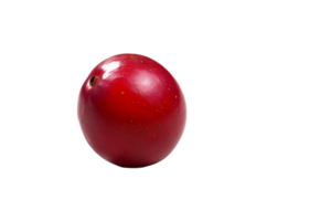The solitary cranberry sits poised its vibrant hue accentuated in high definition png