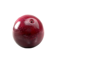 The solitary cranberry sits poised its vibrant hue accentuated in high definition png