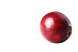 The solitary cranberry sits poised its vibrant hue accentuated in high definition png