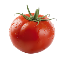 Tomato isolated against transparent background png