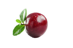The solitary cranberry sits poised its vibrant hue accentuated in high definition png